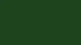 Fade In (5 Seconds) + DOWNLOAD LINK [Green Screen Effect]