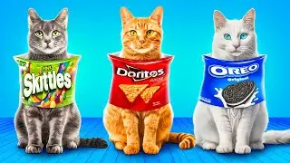 Pet Food Challenge! Cool Food Hacks for Pet Owners!