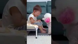 Heart  Touching  Video ❣️             #shorts         