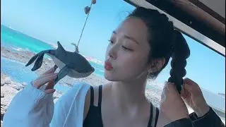 sulli vhs edit