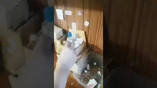 packing fake order video #beautiful #cute #viral #shorts#trending 💫🌸