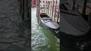 venezia unica
