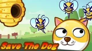 save my pet unity source code