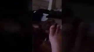 Чистка VIP