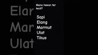 org pintar ppasti bisa