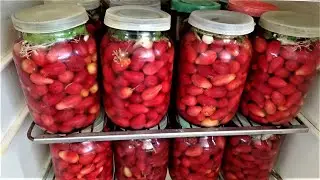Сбор КИЗИЛА завершён, осталось убрать косточки