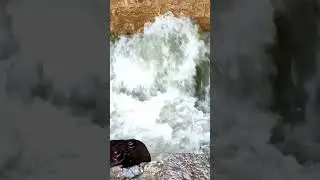 टोरड़ी सागर नहर का पानी || 🚰⛲