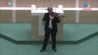 М Казиник о дельфинах, которые слушают музыку