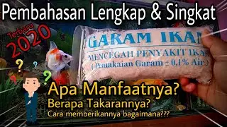 MANFAAT GARAM IKAN UNTUK IKAN MAS KOKI & AQUARIUM - takaran dan cara memberikannya
