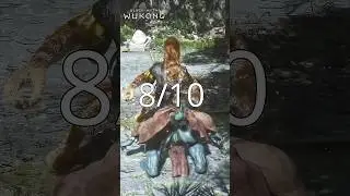 Ranking New Black Myth: Wukong Transformations With Memes 