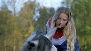 Spanisch Horses