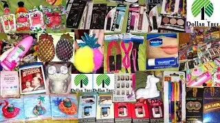 SUPER MASSIVE MARCH DOLLAR TREE HAUL!!! - ALL NEW ITEMS !!! 2019