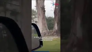 🚲 Messi disfrutando de sus vacaciones en familia