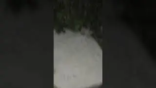 Pennywise. Horror in the garden..