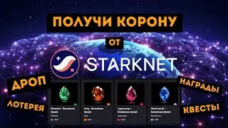 ЛУЧШАЯ ВОЗМОЖНОСТЬ ПОЛУЧИТЬ ТОКЕНЫ ОТ STARKNET | 4 NFT/ 4 КВЕСТА/ 4 AIRDROPA | ПОШАГОВЫЙ ПЛАН