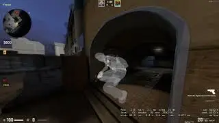 nvidia neverlose and sk33t playing