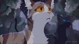 Коты воители!Листвичка и Грач (моя невеста)!!!