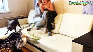 В нашем доме КРОКОДИЛ ГИГАНТСКИЙ Страшный КРОКОДИЛ напал на нас в нашем доме поселился крокодил