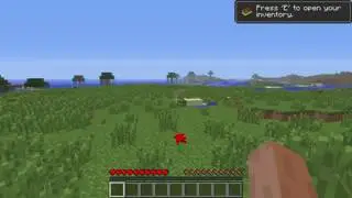 How not to play minecraft