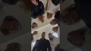 Команда «Квартсервис»-надежные партнеры в каждом шаге вашего пути к идеальной недвижимости!