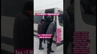 Ташкент Краснодар автобус /Ташкент Ростов автобус /Краснодар Ташкент автобус￼