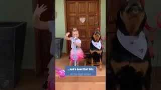 Move over, pop stars—Zara and her tiny human are taking the stage!  #pawsitivelyadorable