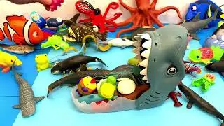 Unboxing Sea Animal Toys & Shark Mouth Surprise! Fun Learning for Kids 🦈