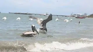 Santa Marta, Magdalena