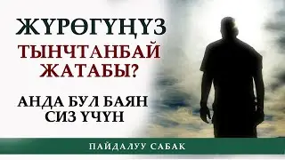 Жүрөк тынчтанбай жатабы? анда бул баянды угунуз / Иметов Садридин
