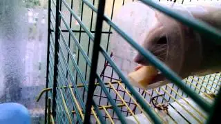 VID 20141007 082145