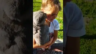 Любофь🥰 #многодетнаямама #сельскаяжизнь #деревенскийбыт