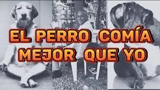 Todo se soluciono ese dia