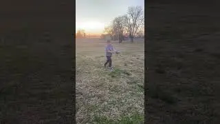 Rate my punt