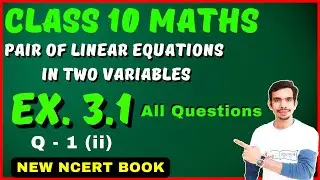 Pair of Linear Equations in Two Variables | Class 10 Maths Ch 3 | Question 1 (ii) | Exercise 3.1