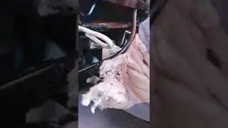 Делаем КАМАЗ! Меняем патрубок на масленом гидробаке