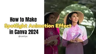 How to Make Spotlight Animation Effect in Canva 2024