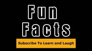 Channel Intro Video #humor #jokes #funny #shorts #puns #comedy #chickens #dogs #cats #nature