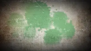 #greenscreeneffects Birthday wishes green screen video 2020-2021 $$$ by teluguloverboy Edits