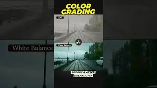 Color Grade | DaVinci Resolve | Final Cut Pro X | Adobe Premier Pro