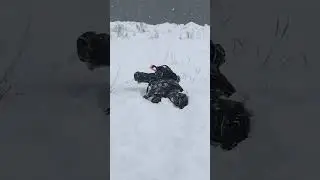 How Russians go into the forest