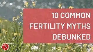 Busting Myths: 10 Common Fertility Misconceptions Debunked