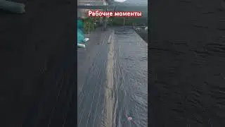 Рабочие моменты 