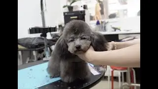 I’m just so sleepy…!!