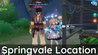 People say that a strange person has been spotted in the vicinity of Springvale - Genshin Impact