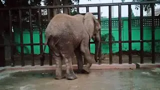 Karachi zoo 