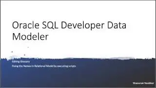 Oracle SDDM - How to edit Glossary And Execute the Custom Transformation Scripts