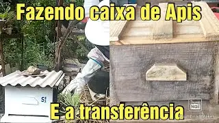 FAZENDO CAIXA DA ABELHA APIS | E TRANSFERÊNCIA 
