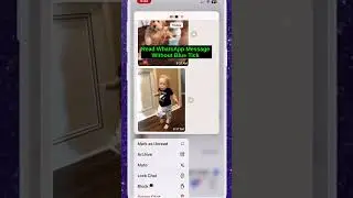 How To Read WhatsApp Message Without blue Tick | Read WhatsApp Message Without Opening