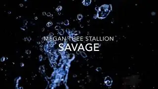 Megan Thee Stallion - Savage (Lyrics)