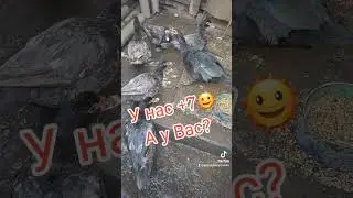 У нас +7... А у Вас?